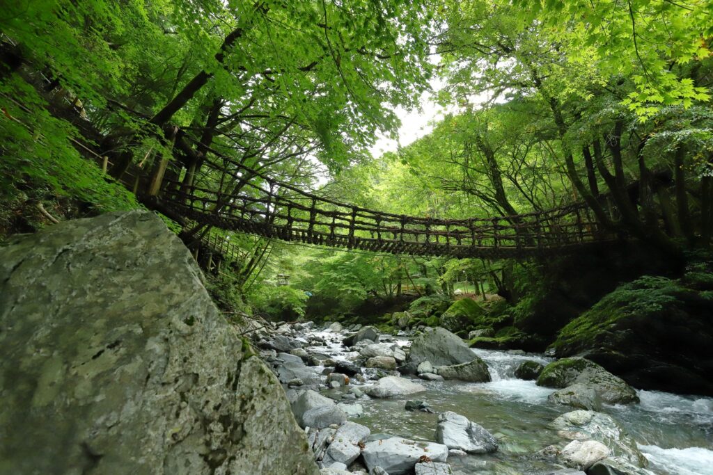 渓谷に架かる木製の橋